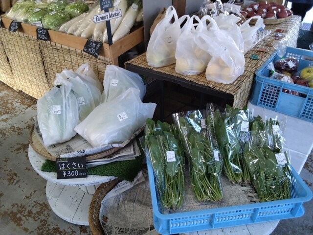 スター食堂 - 盛（食堂）の写真