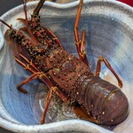 日本料理 TOBIUME - 