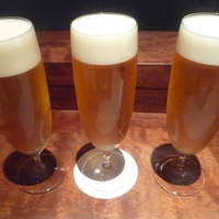 侘家古暦堂 祇園花見小路本店 - 生ﾋﾞｰﾙ