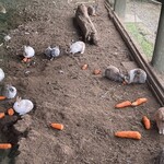 ふれあいの里 - 