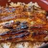 Kawatoyo Nishiguchikan - 照り照りのきれいなうなぎさん♪うな丼(ご飯大盛)(231121)