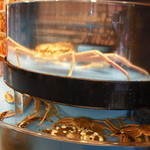 かに道楽 - 大きい