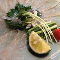 とらふぐ亭 新宿別館 - てっさ！
