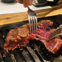 黒毛和牛ヘレ肉専門店 炭火焼肉 りきちゃん 北浜店 - 
