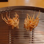 tempuratowashokuyamanoue - 海老の頭