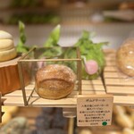 テーラ・テール - 