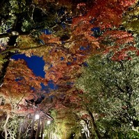 THE SODOH HIGASHIYAMA KYOTO - 