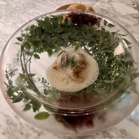 GENTLE Dining - 