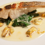 カラペティ・バトゥバ - 