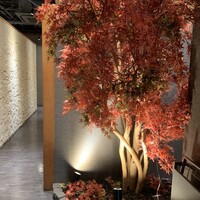しゃぶしゃぶ 吟半 お台場店 - 