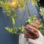 金絲雀 - クロワッサン