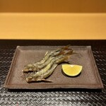 花小路 さわ田 - 