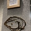 Oysterbar&Wine BELON 広尾店