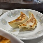 Chinese restaurant panda - 餃子は普通でした。