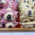 すぎの樹 - 