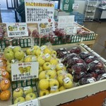 すぎの樹 - 