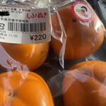 すぎの樹 - 