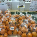 すぎの樹 - 
