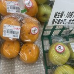 すぎの樹 - 