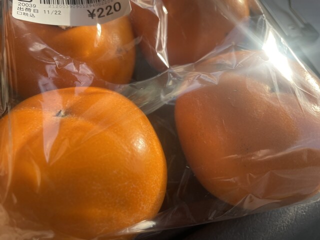 すぎの樹 - 花巻（その他）の写真