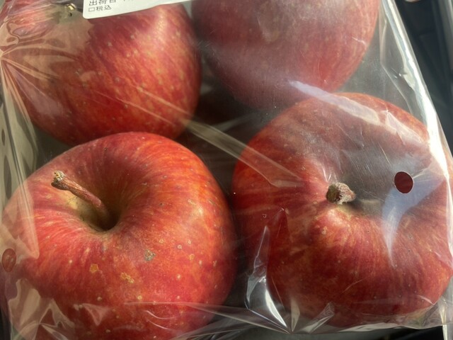 すぎの樹 - 花巻（その他）の写真