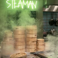 STEAMAN - 