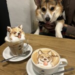 ハットコーヒー - 