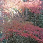 布引雄滝茶屋 - 閑さや岩にしみ入る秋の声(パクリ二)