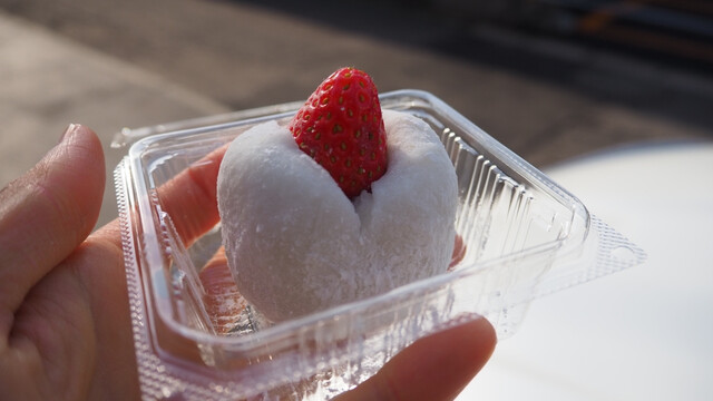Ichigo Daifuku Senmon Ten Potapota Ichigo Otaru Ichigo Daifuku Senmon Ten Potapota Ichigo Otaru