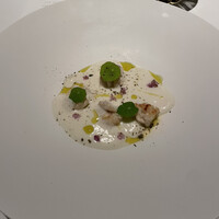 l'elan - 