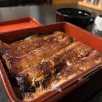 Unagi Akagaki - 