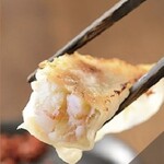 homemade shrimp Gyoza / Dumpling