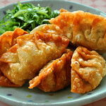 homemade fried Gyoza / Dumpling