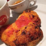 CAFFE PASCUCCI - 