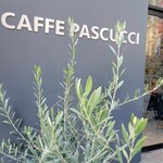 CAFFE PASCUCCI - 