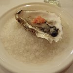 ラ・テンダ・ロッサ - アミューズ：生牡蠣（2013.11）