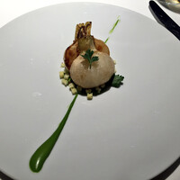 レフェルヴェソンス - 