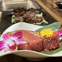 黒毛和牛ヘレ肉専門店 炭火焼肉 りきちゃん 北浜店 - 