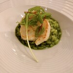 小笠原伯爵邸 - 帆立貝とグリーンリゾット