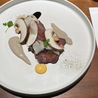 MOTORA  - 