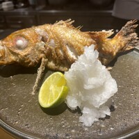 炭火割烹 麻布龍土町 -  炭火割烹 麻布龍土町 -