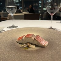 XEX TOKYO / Salvatore Cuomo Bros. - 