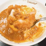 オリエンタルカレー本舗 - ロースカツカレー(リフト)