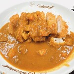 オリエンタルカレー本舗 - ロースカツカレー