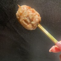 炭火焼鳥いこか 西天満 - 