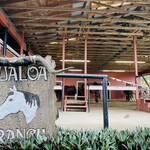 Aunty Pat's Cafe - お店周辺