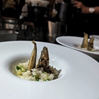 平日限定　特別ランチ