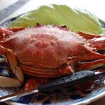 漁師料理十次郎 - 