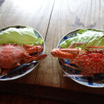 漁師料理十次郎 - 