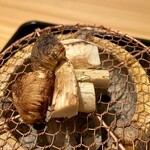 豪龍久保 - 焼き松茸 岩手産